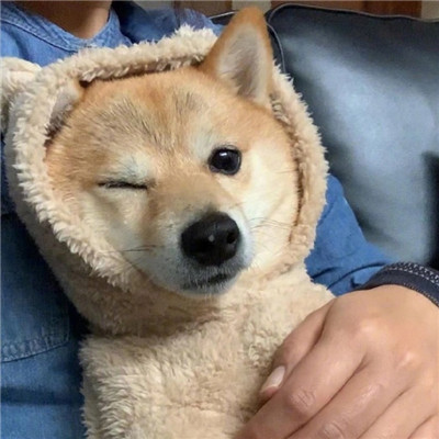 小红书营销服务图标